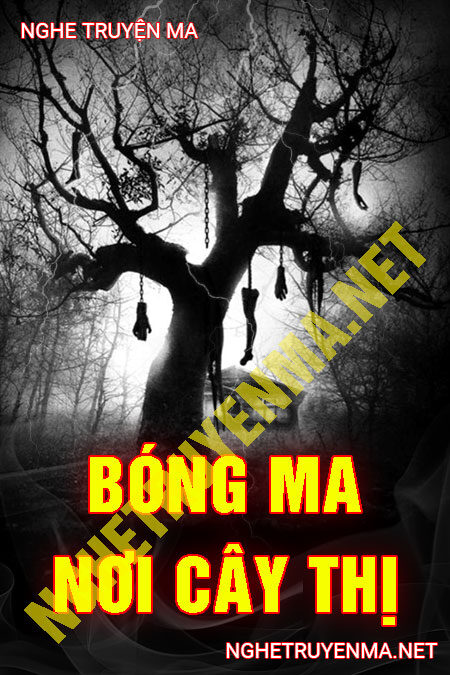Bóng Ma Nơi Cây Thị