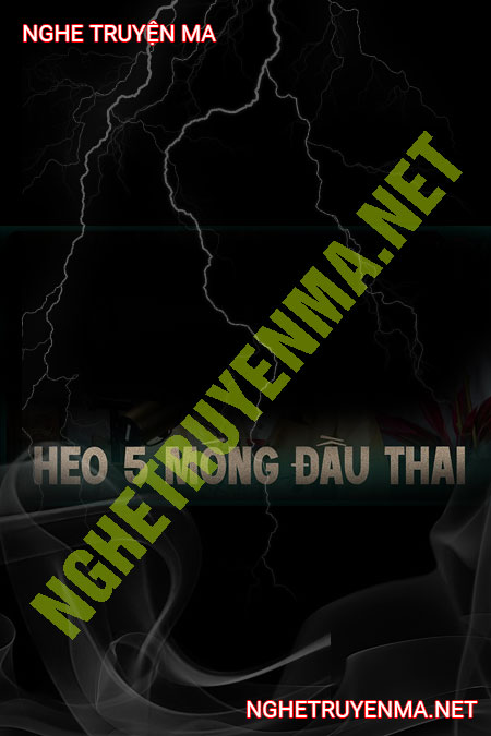 Heo 5 Móng Đầu Thai