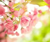 Ma Đói Nhập Xác