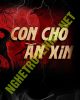 Con Chó Ăn Xin